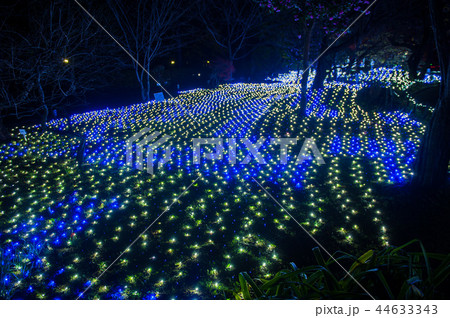 イルミ奈~ら、イルミネーション、奈良、日本 イルミ奈~ら、イルミネーション、奈良、日本 44633343