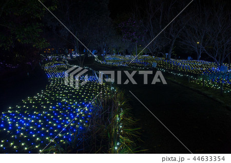 イルミ奈~ら、イルミネーション、奈良、日本 イルミ奈~ら、イルミネーション、奈良、日本 44633354