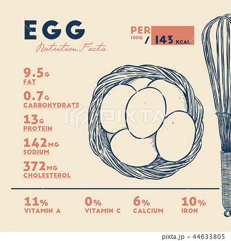 nutrition fact of egg hand draw sketch vector のイラスト素材