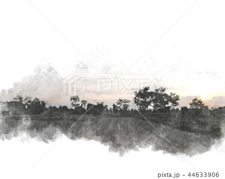 Sunlight and tree field landscape in the evening. 44633906