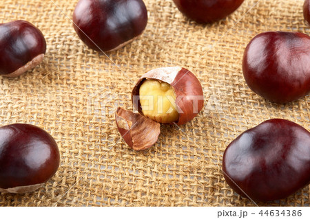 Many peeled chestnuts lie on hessian Many peeled chestnuts lie on hessian 44634386