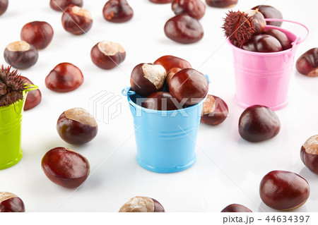 Colorful buckets with chestnuts 44634397