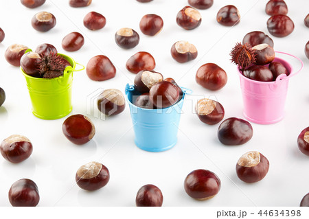 Colorful buckets with chestnuts Colorful buckets with chestnuts 44634398