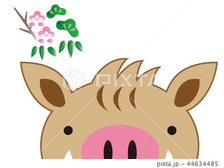 梅とイノシシ 44634485