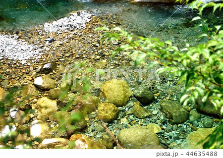 阿寺川 神秘的な色の渓流 阿寺川 神秘的な色の渓流 44635488