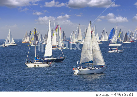 Regatta Barcolana in the Gulf of Trieste, Italy 44635531