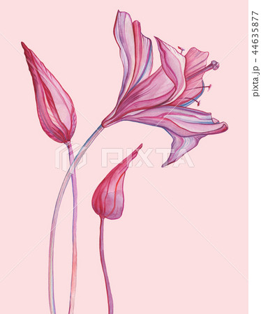 Watercolor Abstract Flower. Hand Drawn Floral Pattern Watercolor Abstract Flower. Hand Drawn Floral Pattern 44635877