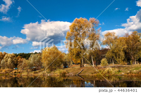 reflected in a forest lake autumn trees 44636401