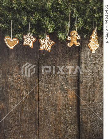 painted by gingerbread cookie hanging on spruce 44636461