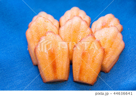 Madeleine cake vanilla on a blue background Madeleine cake vanilla on a blue background 44636641