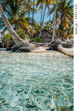 small island with palm trees and bungalow / house small island with palm trees and bungalow / house 44637122