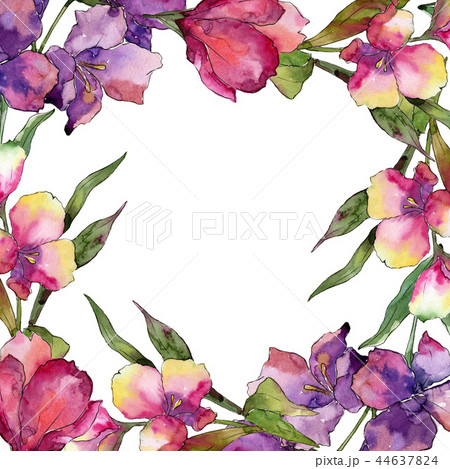 Watercolor pink and purple alstroemeria flower. Floral botanical flower. Frame border ornament 44637824