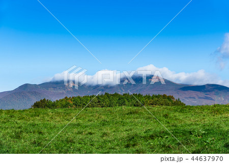 紅葉の栗駒山と高原の牧場 44637970