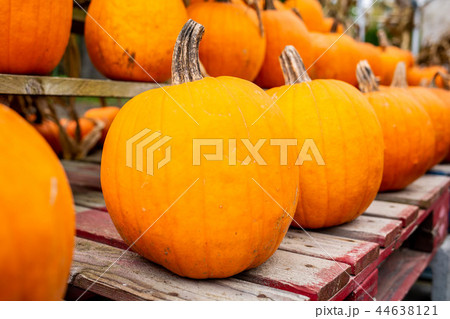 Pumpkins at country farmers market for holidays 44638121