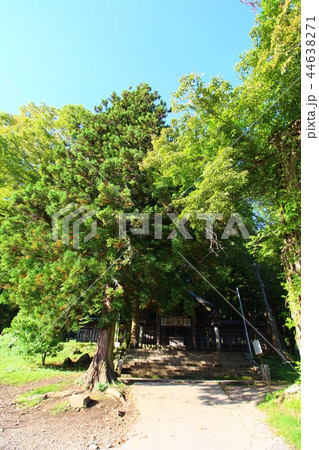 諏訪大社(上社前宮) 諏訪大社(上社前宮) 44638271