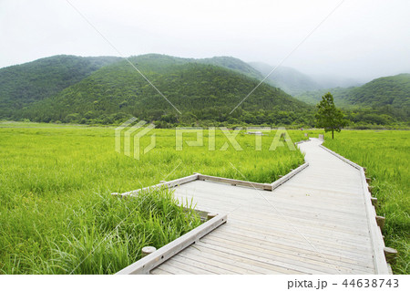 タデ原湿原 44638743