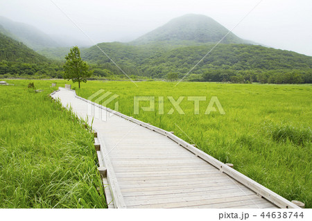 タデ原湿原 タデ原湿原 44638744