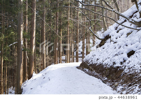 地獄谷野猿公苑へと続く雪道 地獄谷野猿公苑へと続く雪道 44638961