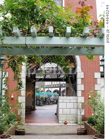 山の植物園 44640244