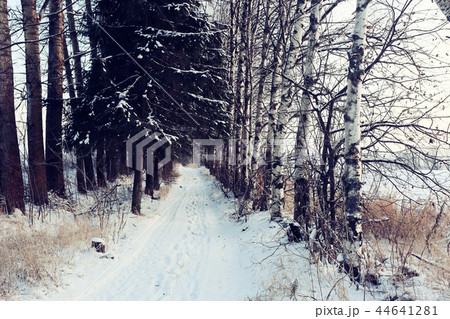 Winter in the village Winter in the village 44641281