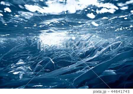 diving background bubbles underwater 44641743