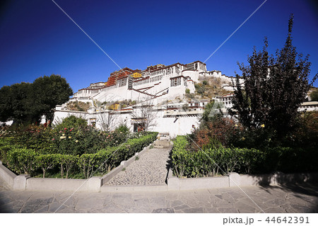 Potala Lhasa Palace 44642391