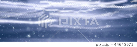 traces of headlights glow / blurred background nocturnal traces of light, texture of a night city 44645973