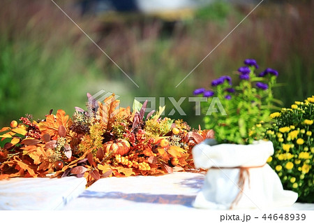 創作品 創作 文化 44648939