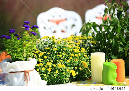 創作品 創作 文化 44648945