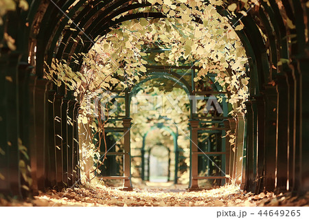 autumn alley in the park / autumn walk in the city park, weekends alone. The concept of calm and autumn freshness among trees and branches with yellow leaves 44649265