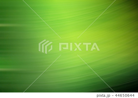 spring light green blur background, glowing blurred design, summer background for design wallpaper spring light green blur background, glowing blurred design, summer background for design wallpaper 44650644