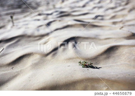 soil corrosion cracks on the ground 44650879