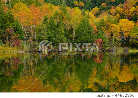 (長野県)志賀高原・木戸池の紅葉 (長野県)志賀高原・木戸池の紅葉 44652956