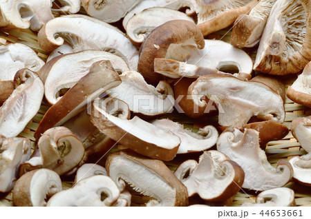 手作り乾燥シイタケ 44653661