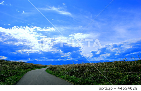 北海道石狩海岸のススキの風景 44654028