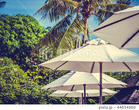 White umbrella with coconut palm tree with sea ocean 44654860