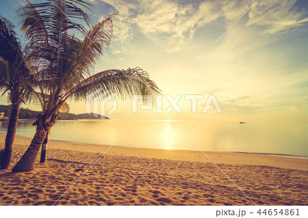 At sunset time on the tropical beach and sea with coconut palm tree At sunset time on the tropical beach and sea with coconut palm tree 44654861