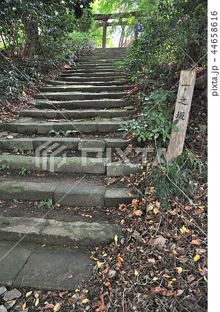 金沢市　卯辰神社 44658616