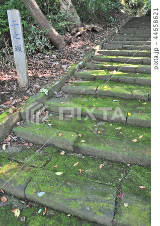 金沢市　卯辰神社 44658621