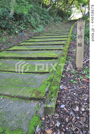 金沢市 卯辰神社 金沢市 卯辰神社 44658678