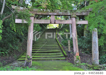 金沢市 卯辰神社 金沢市 卯辰神社 44658680