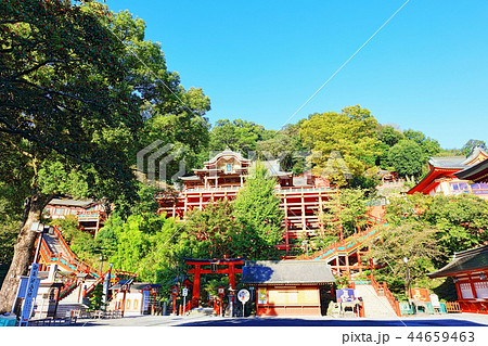 朝日を浴びる秋の祐徳稲荷神社(佐賀県鹿島市) 朝日を浴びる秋の祐徳稲荷神社(佐賀県鹿島市) 44659463