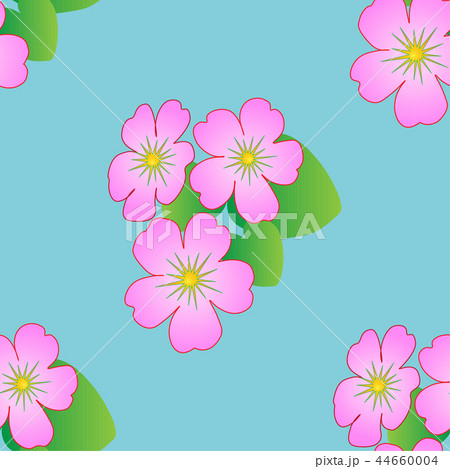 Seamless floral pattern with tropical flowers. 44660004