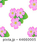 Seamless floral pattern with tropical flowers. 44660005