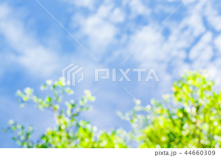 Clouds in the blue sky. 44660309