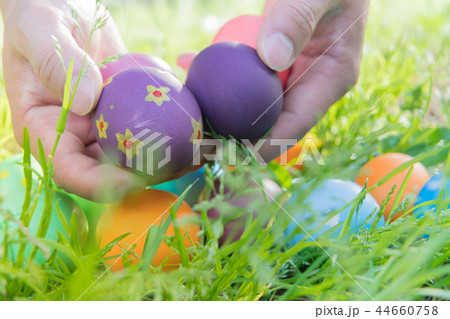 Easter egg colorful Easter sunday hunt holiday Easter egg colorful Easter sunday hunt holiday 44660758