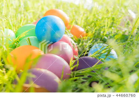 Easter egg colorful Easter sunday hunt holiday Easter egg colorful Easter sunday hunt holiday 44660760