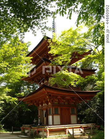 京都 浄瑠璃寺 京都 浄瑠璃寺 44660902