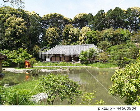 京都　浄瑠璃寺 44660904