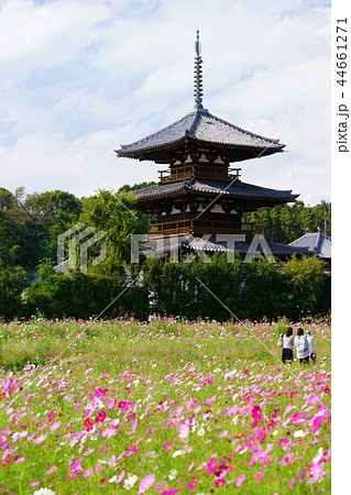 日本の心・奈良秋の法起寺 日本の心・奈良秋の法起寺 44661271